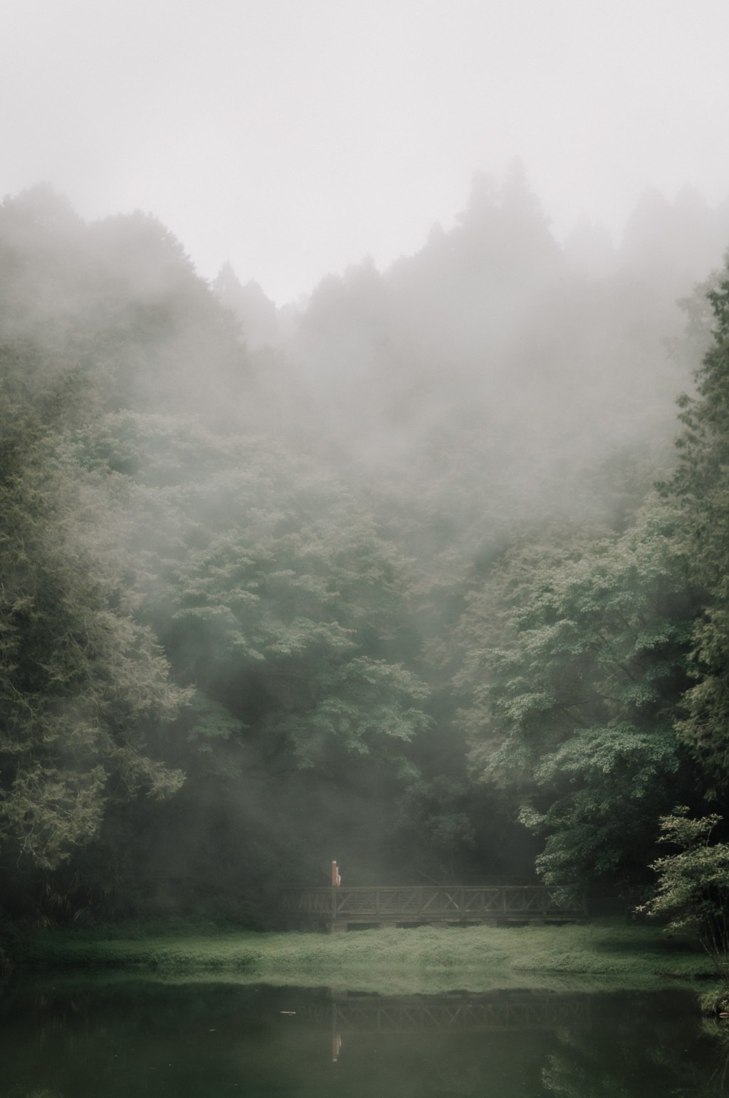 霧裡的阿里山 Alishan